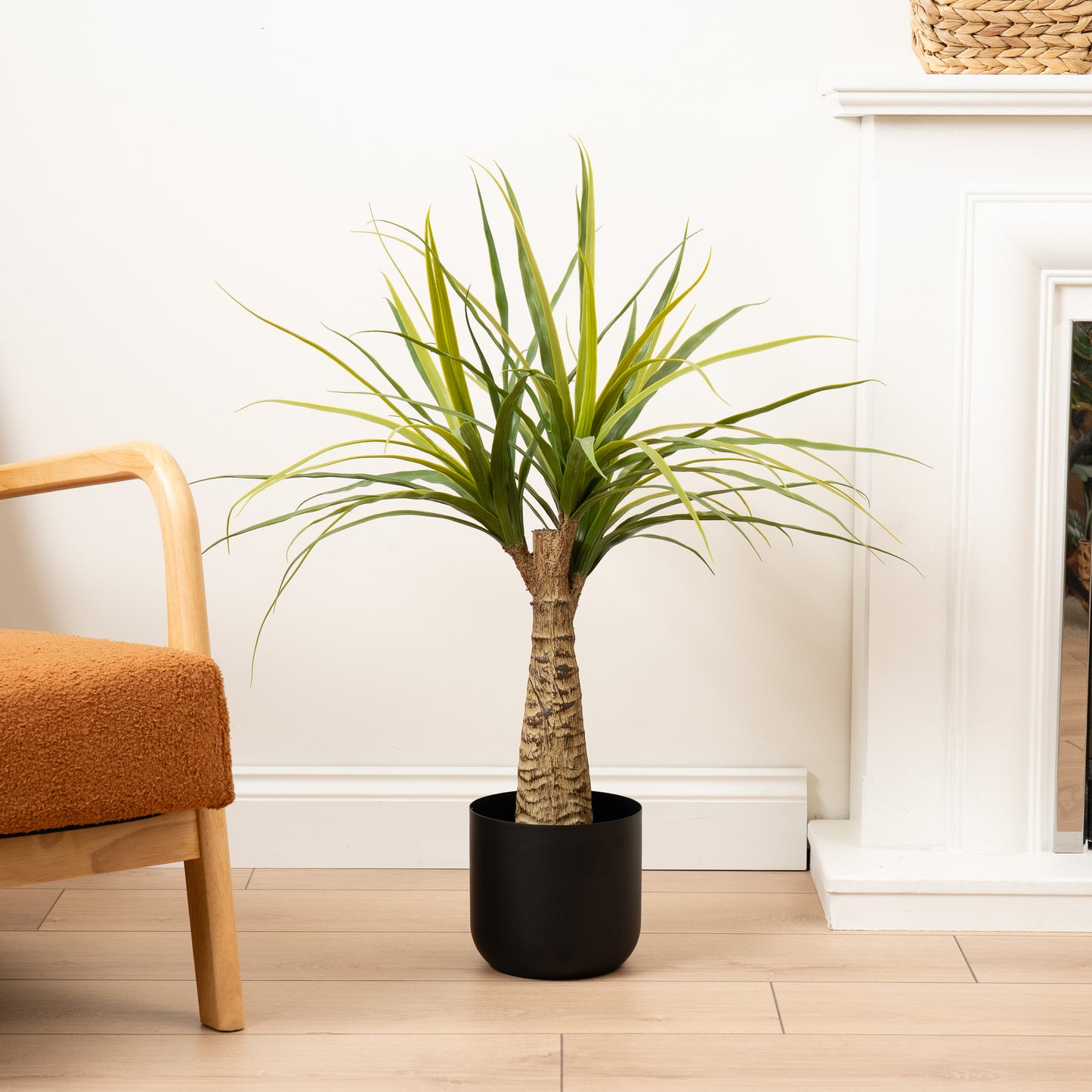 Scottish Everlastings 76cm Artificial Dracaena - main product image
