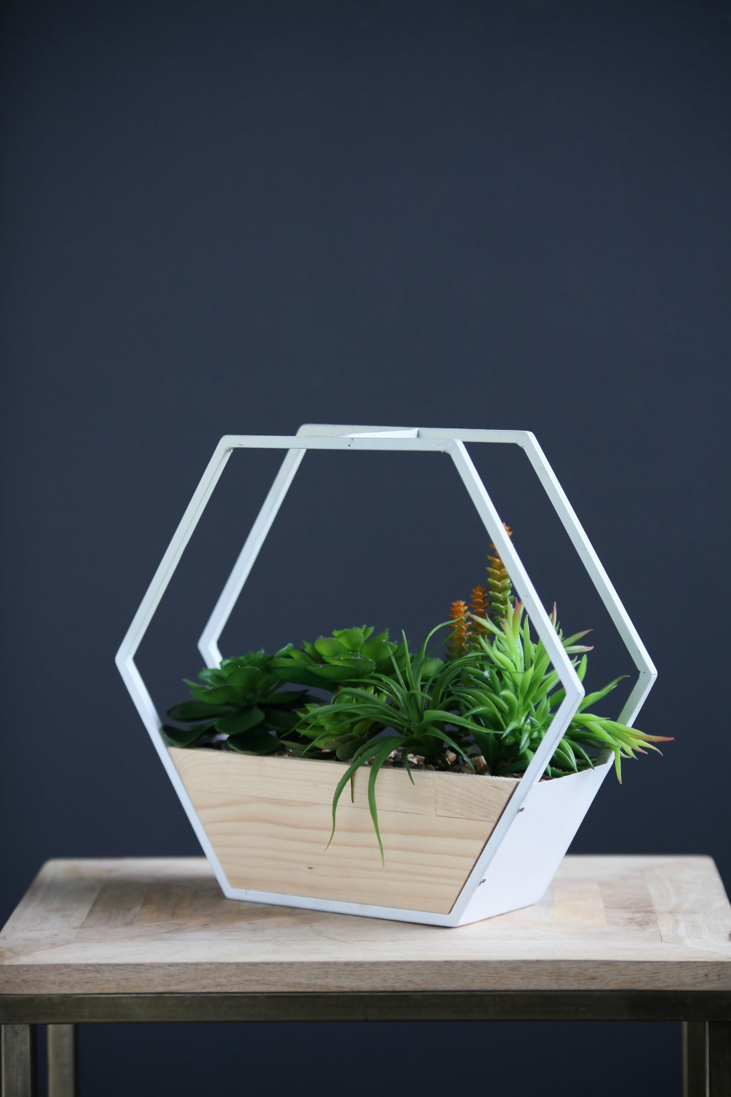 Scottish Everlastings Artificial Succulents in White Hexagon Planter - main product image