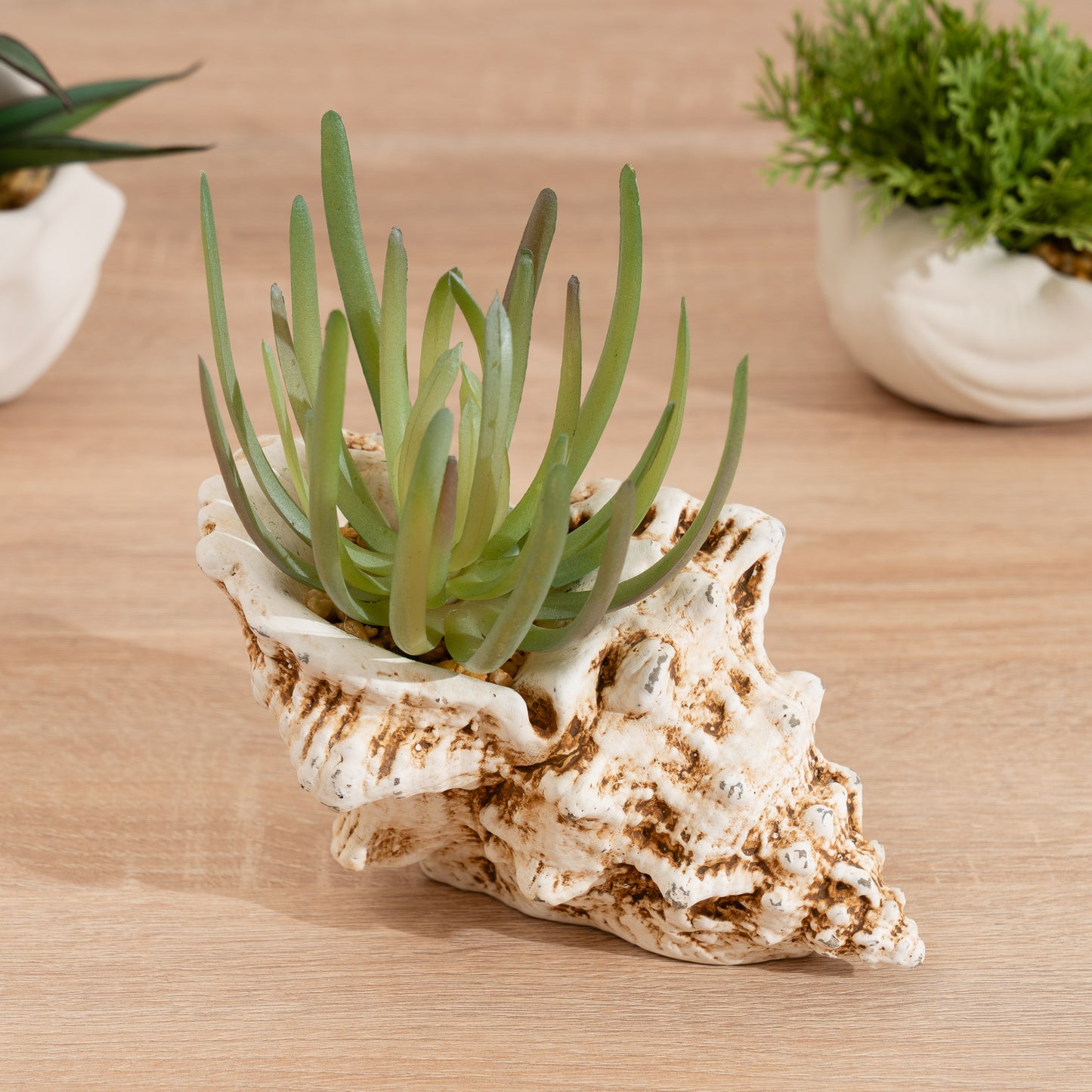 Scottish Everlastings 16cm Artificial Succulent in Cement Shell - main product image