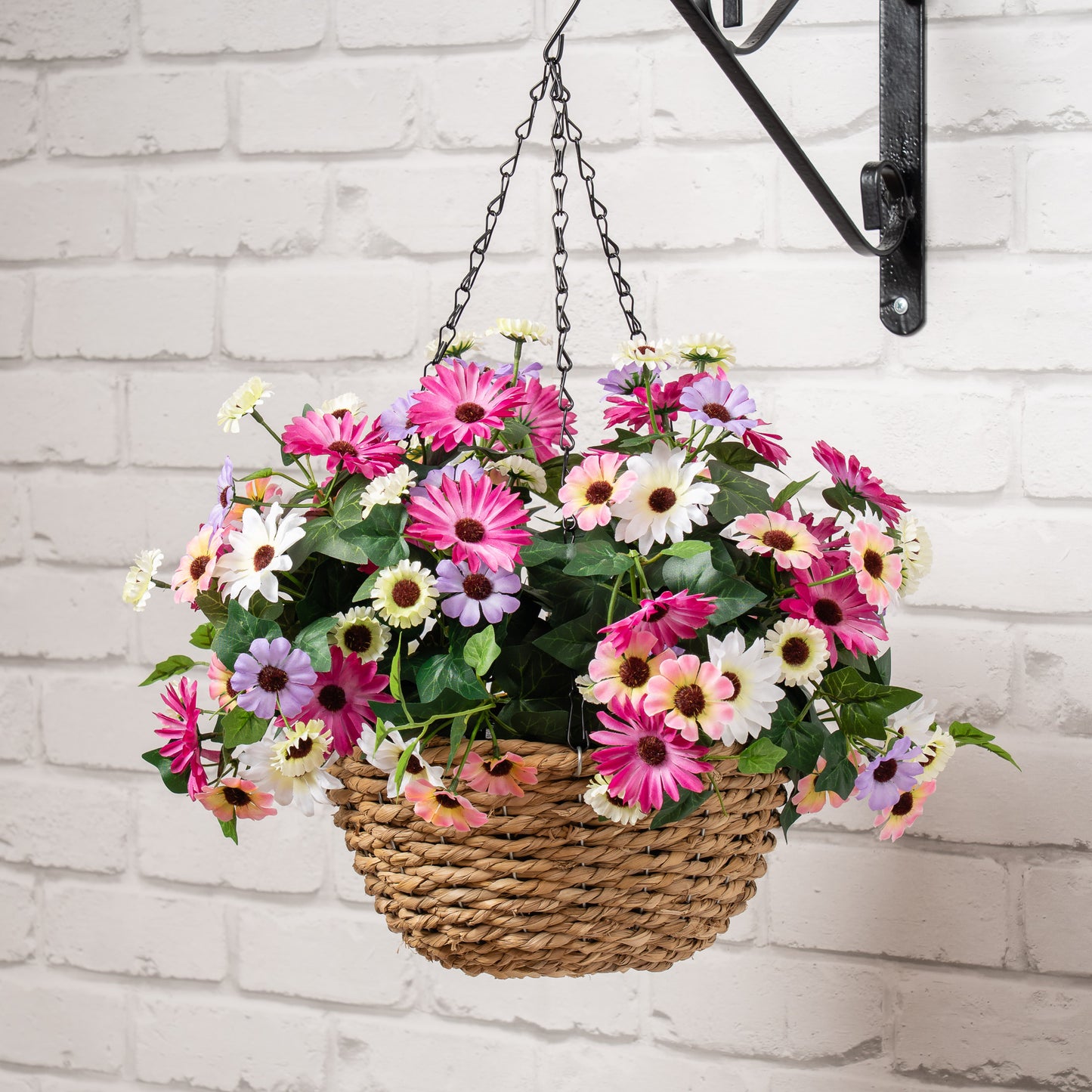 Scottish Everlastings Artificial 56cm Mixed Daisy Hanging Basket - main product image