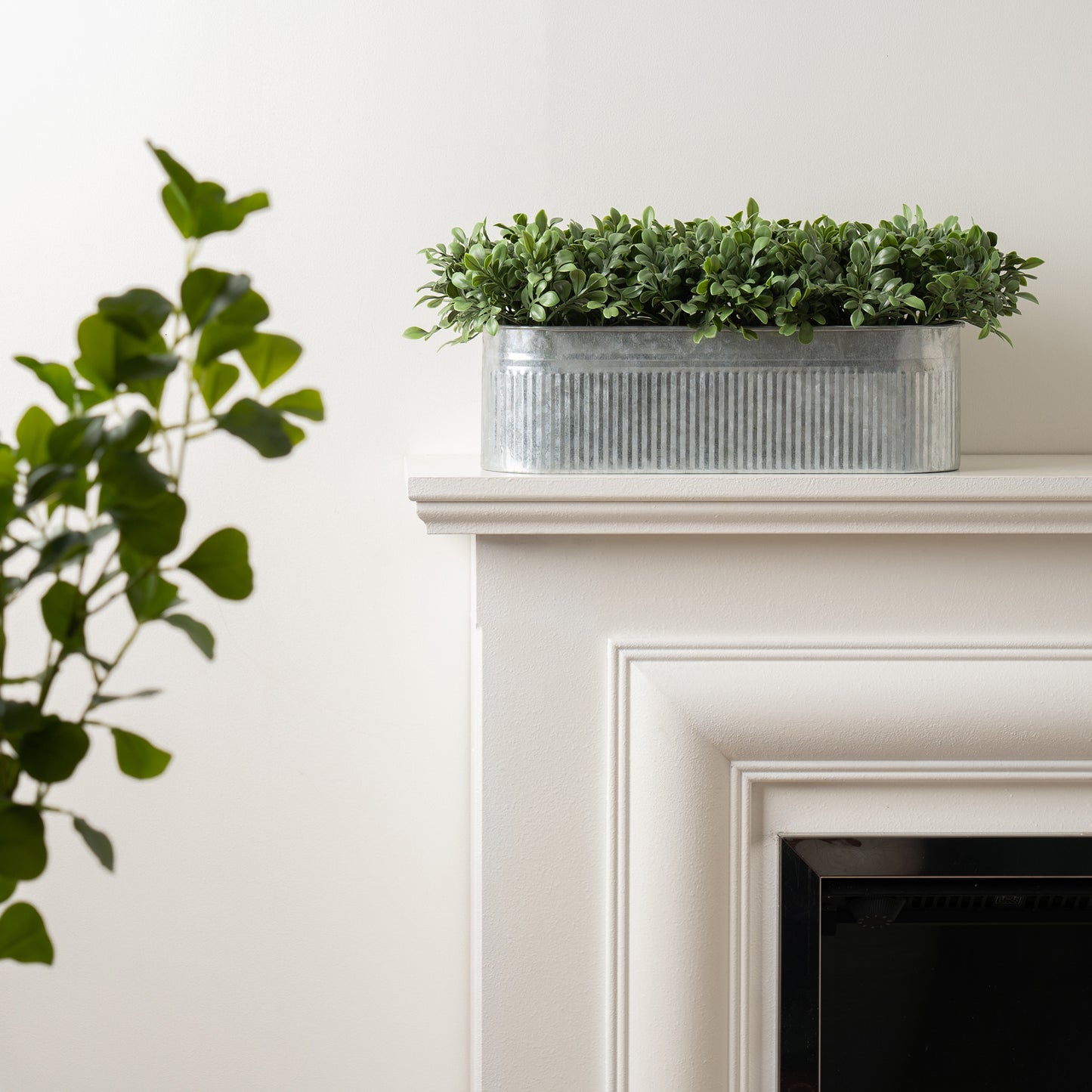 Scottish Everlastings 51x23cm Artificial Boxwood Trough - main product image