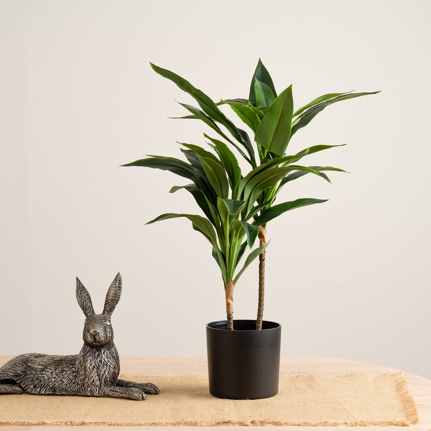 Scottish Everlastings Artificial 60cm Real Touch Dracaena - main product image
