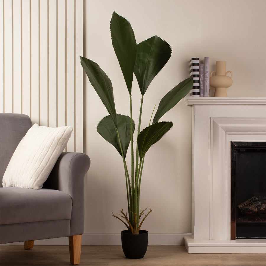 Scottish Everlastings Artificial 130cm Ruffled Fan Leaf Palm Tree - main product image