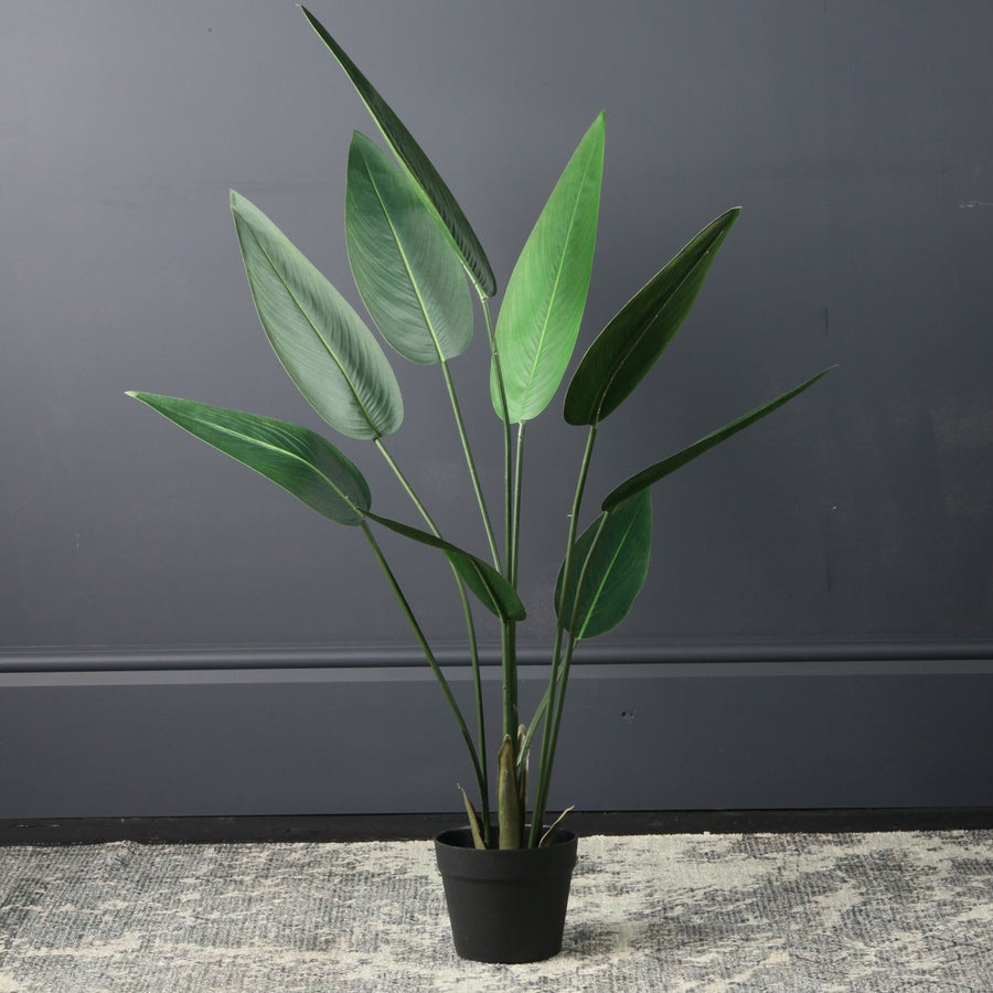 Scottish Everlastings 110cm Real Touch Artificial Bird Of Paradise - main product image