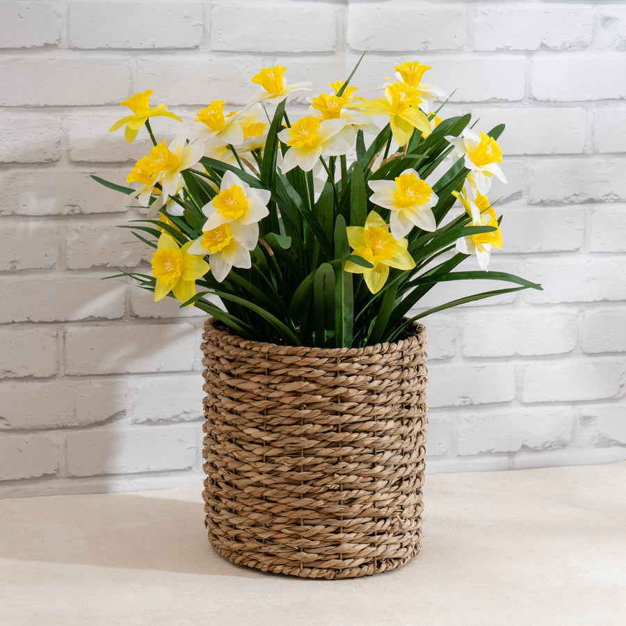 Scottish Everlastings Artificial 58cm Daffodils in Seagrass Basket - main product image