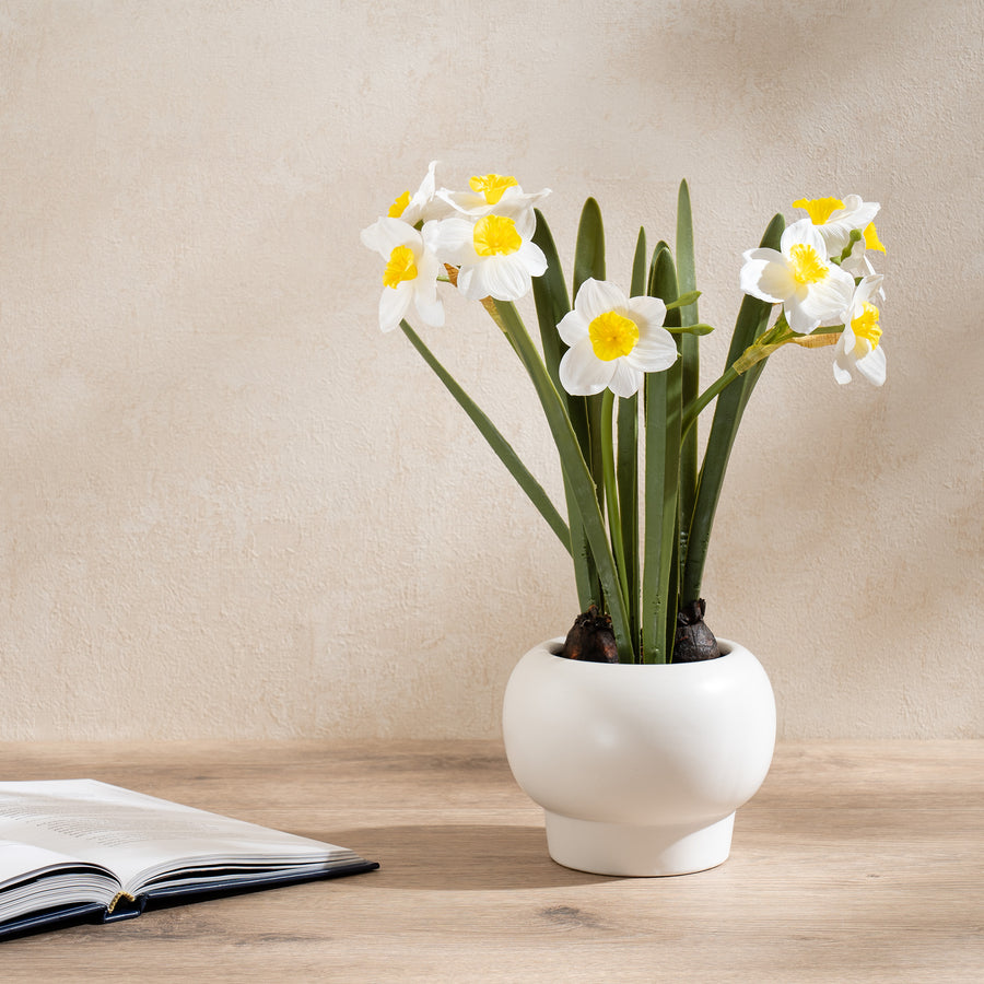 Scottish Everlastings 42cm Artificial Daffodil Spray in Ceramic Pot - main product image