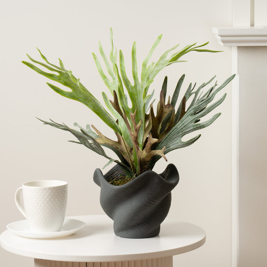 Scottish Everlastings 53cm Artificial Sea Greens in Cement Shell Pot - main product image