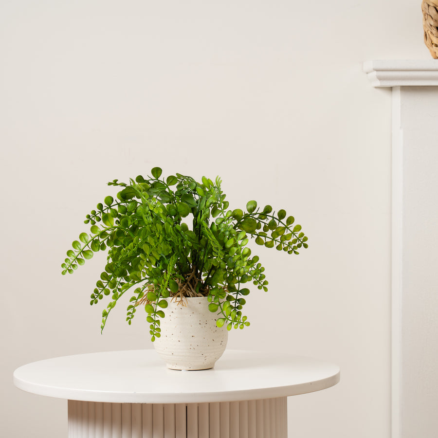 Scottish Everlastings Artificial 28cm Fern in Speckled Ceramic Pot - main product image