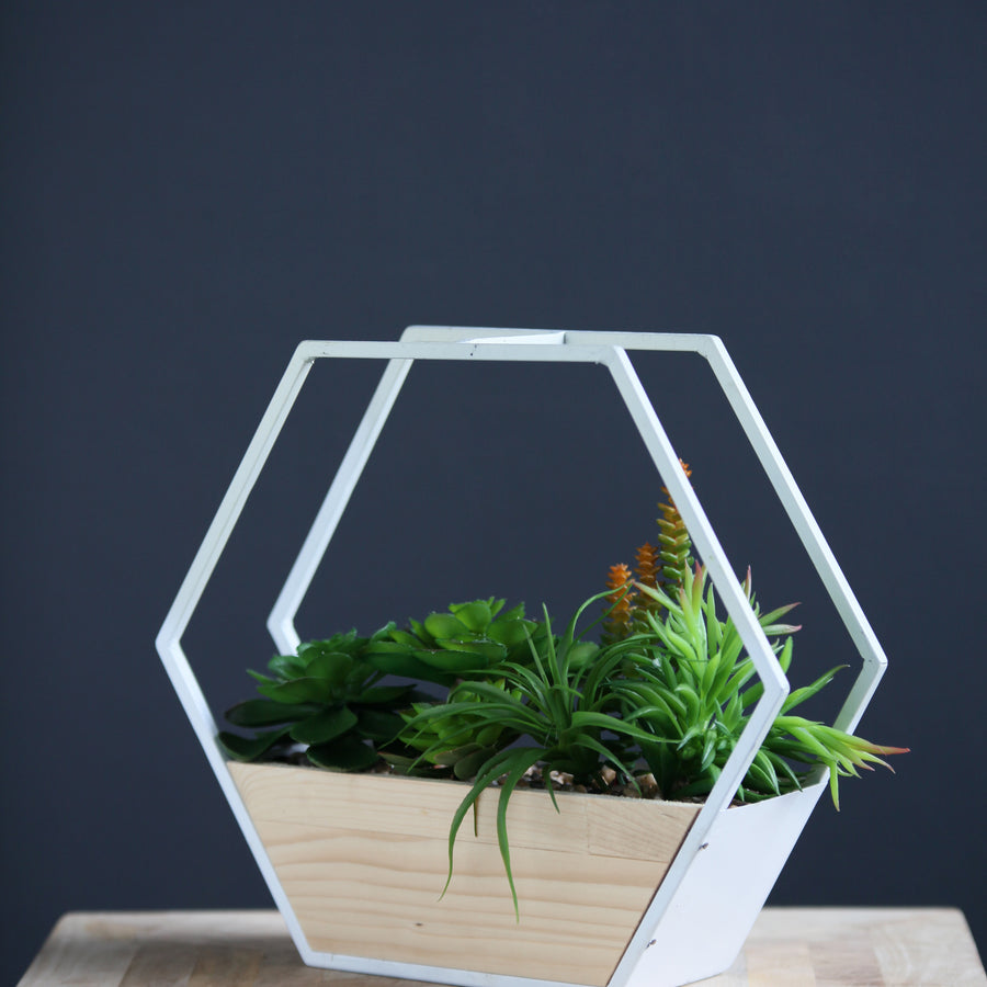 Scottish Everlastings Artificial Succulents in White Hexagon Planter - main product image