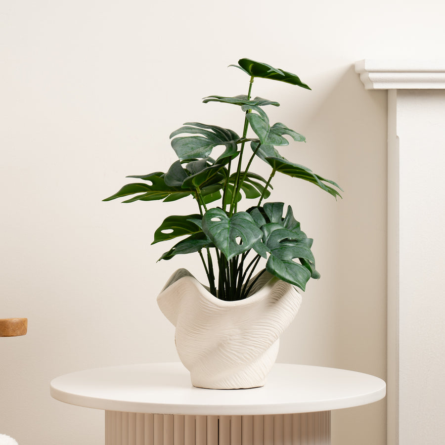 Scottish Everlastings 45cm Artificial Variegated Monstera in Cement Shell Pot - main product image