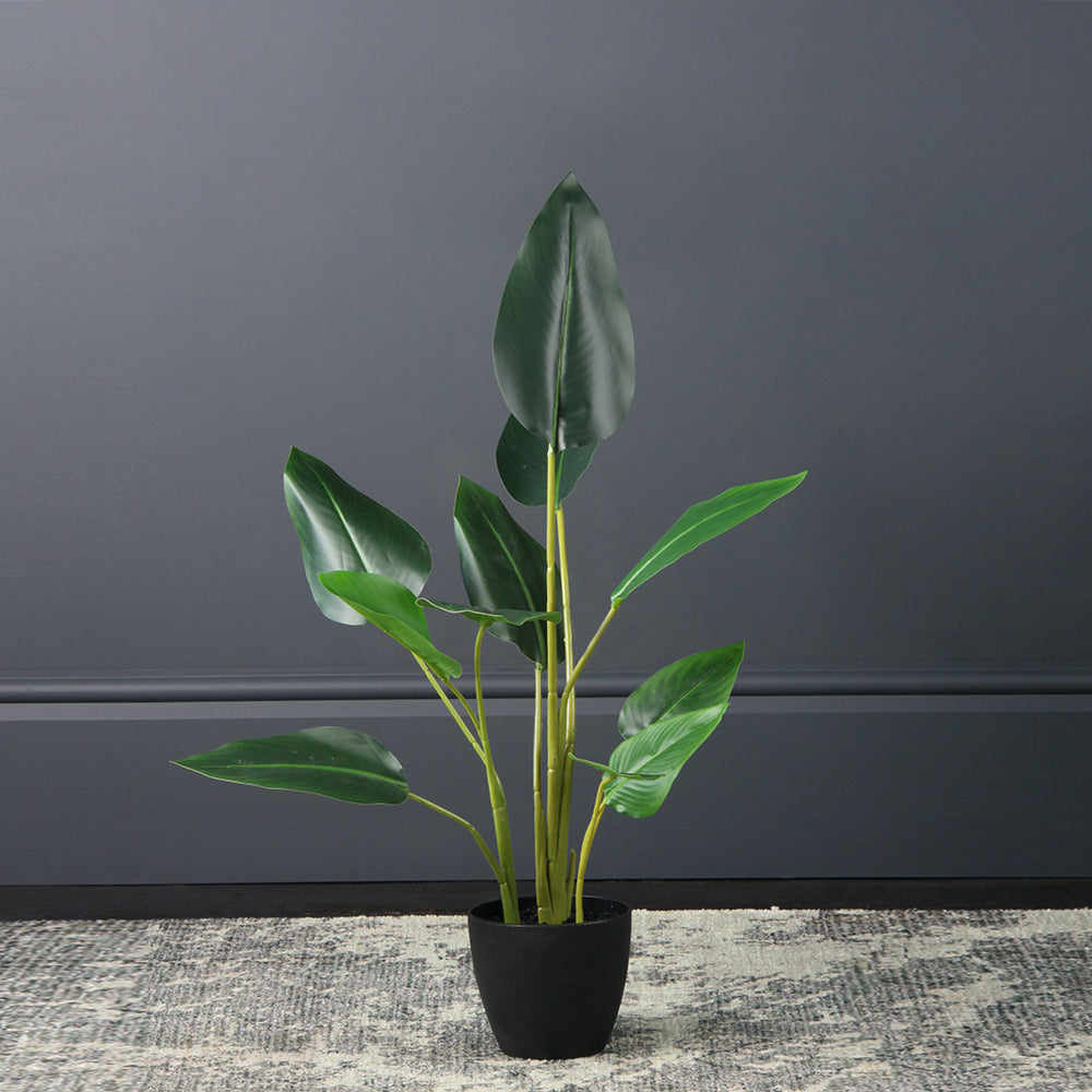 Scottish Everlastings 78cm Real Touch Artificial Bird Of Paradise - main product image