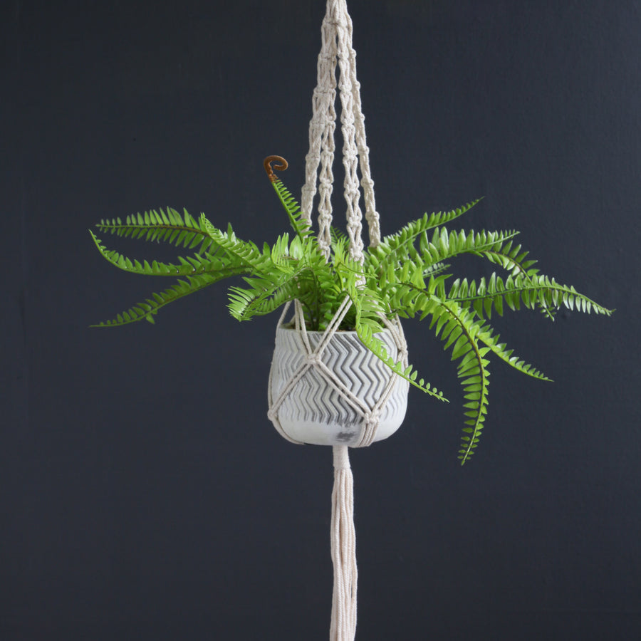 Scottish Everlastings Artificial Fern in Hanging Pot - main product image