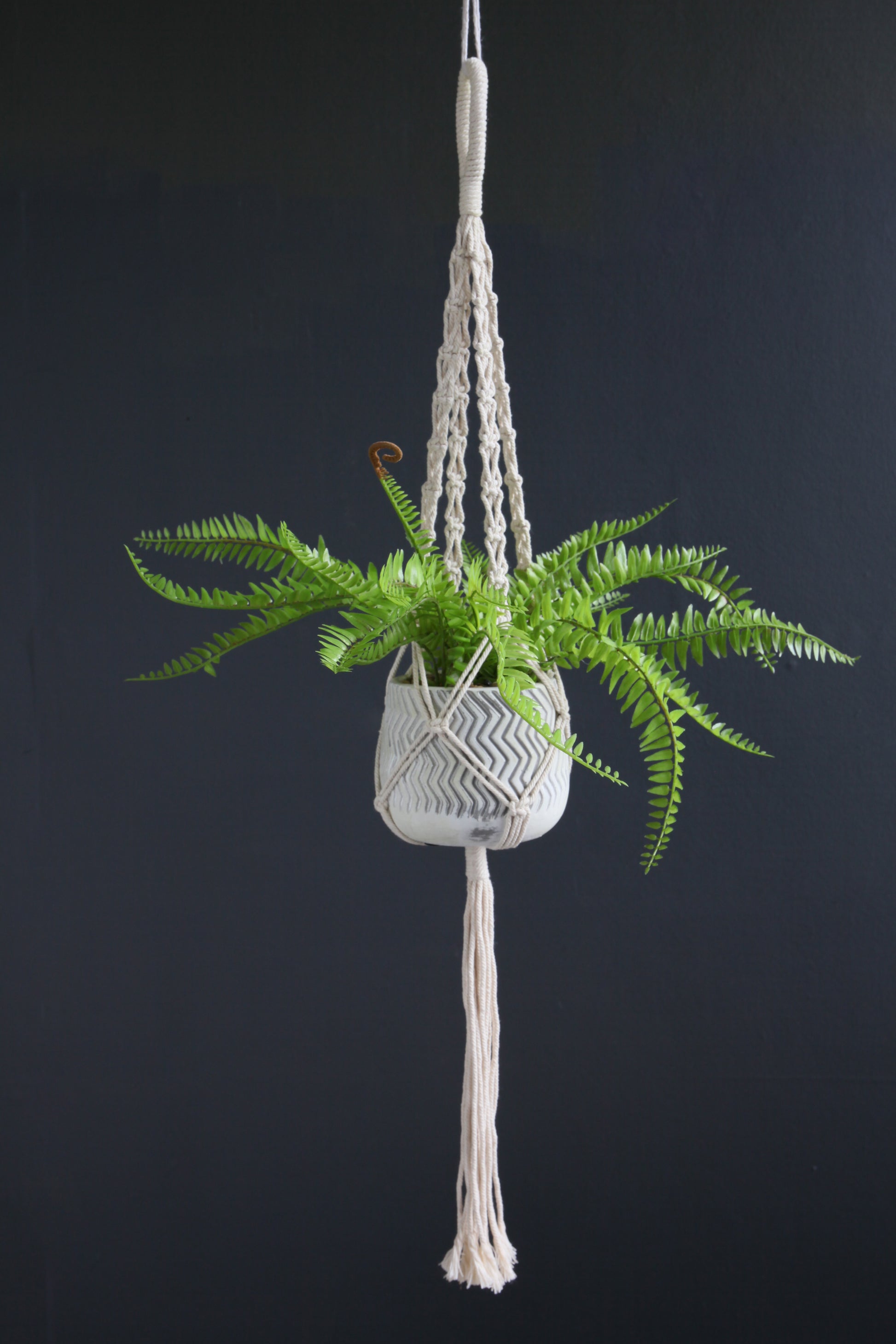 Scottish Everlastings Artificial Fern in Hanging Pot - main product image