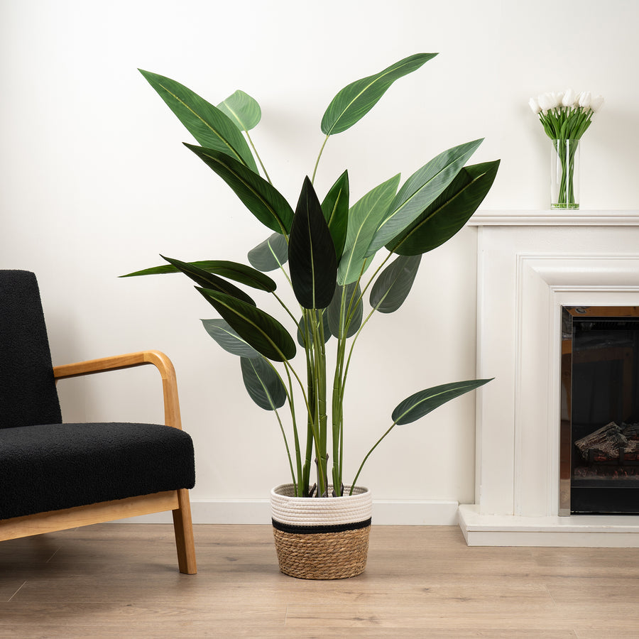 Scottish Everlastings Artificial 160cm Bird Of Paradise Tree - main product image