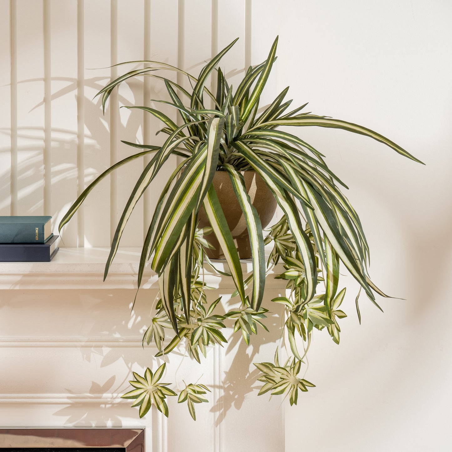 Scottish Everlastings 36cm Artificial Spider Plant in Rustic Pot - main product image