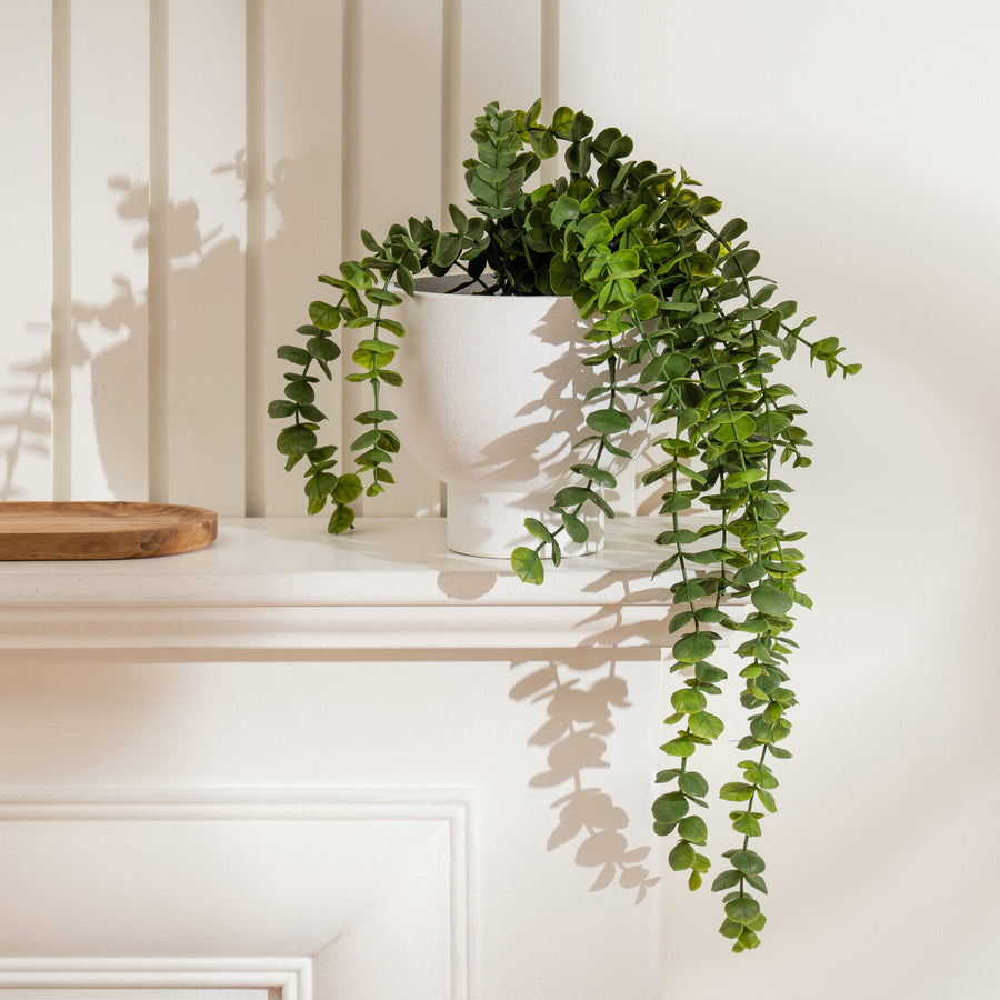 Scottish Everlastings Artificial 40cm Trailing Eucalyptus in Rustic Footed Pot - main product image