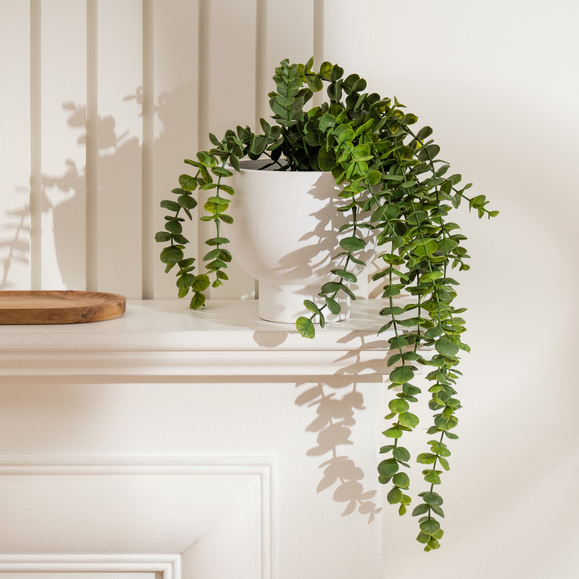 Scottish Everlastings Artificial 40cm Trailing Eucalyptus in Rustic Footed Pot - main product image