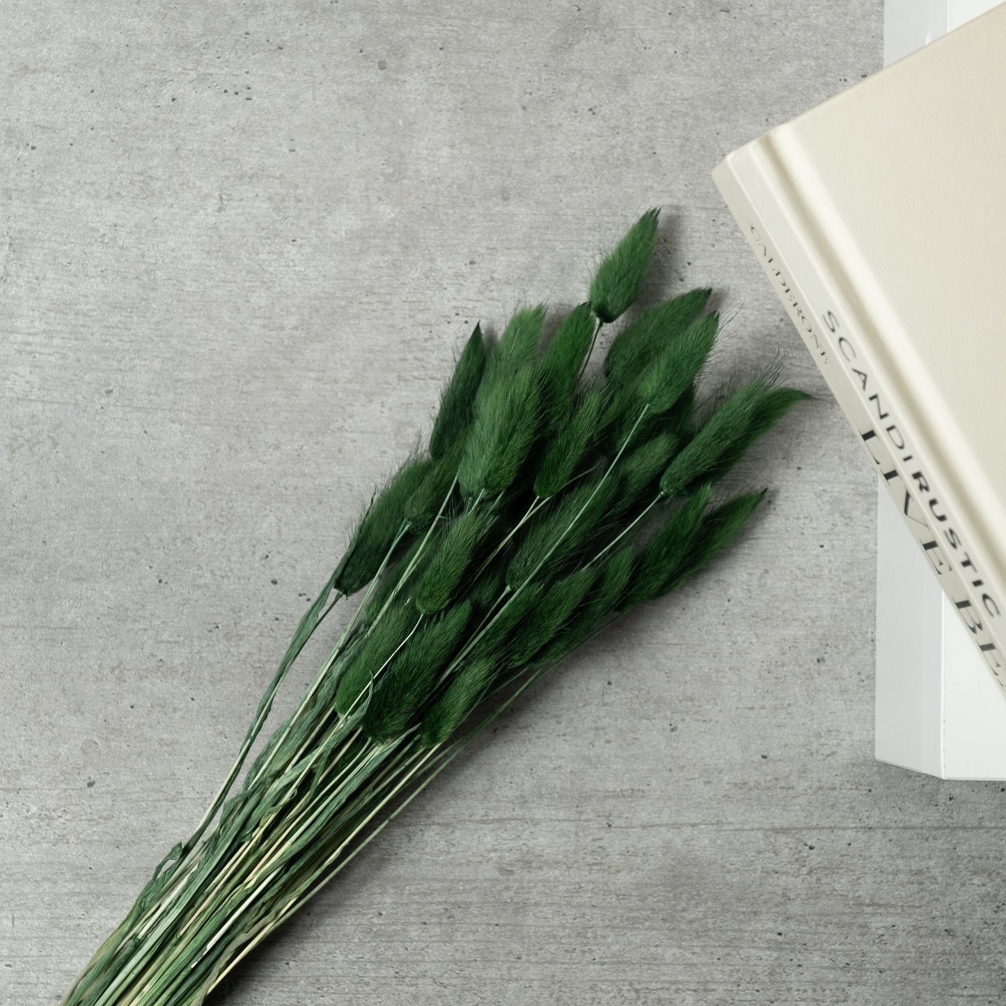 Scottish Everlastings Dark Green Bunny Tails - main product image