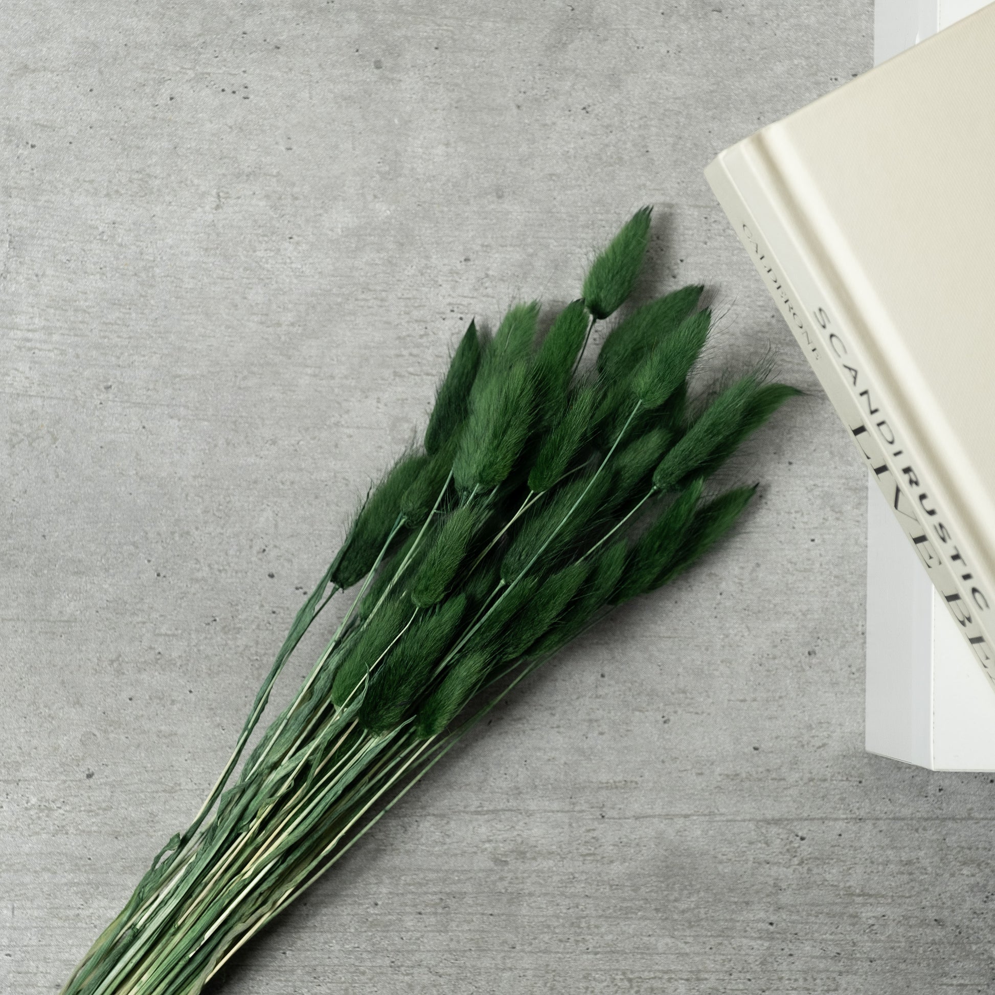 Scottish Everlastings Dark Green Bunny Tails - main product image