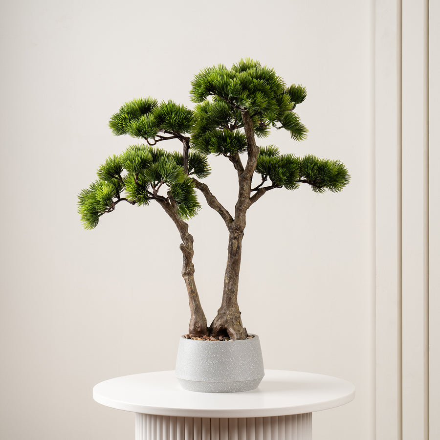 Scottish Everlastings 56cm Artificial Bonsai Pine Tree In Cement Effect Pot - main product image