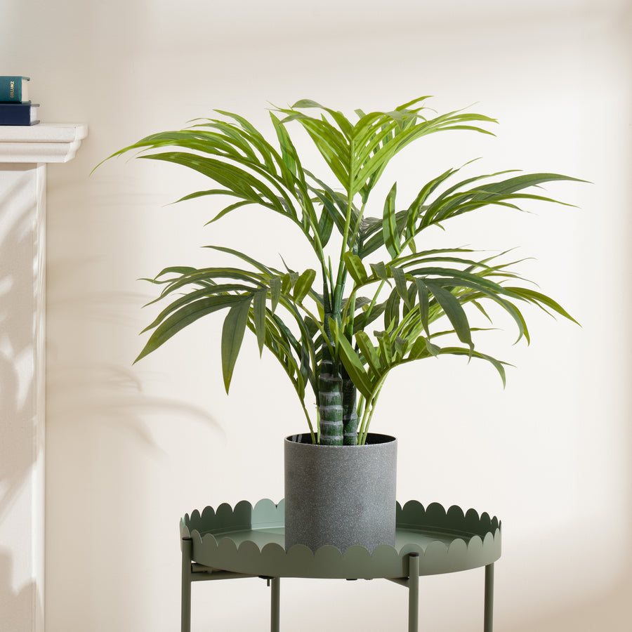 Scottish Everlastings 60cm Artificial Palm Tree - main product image