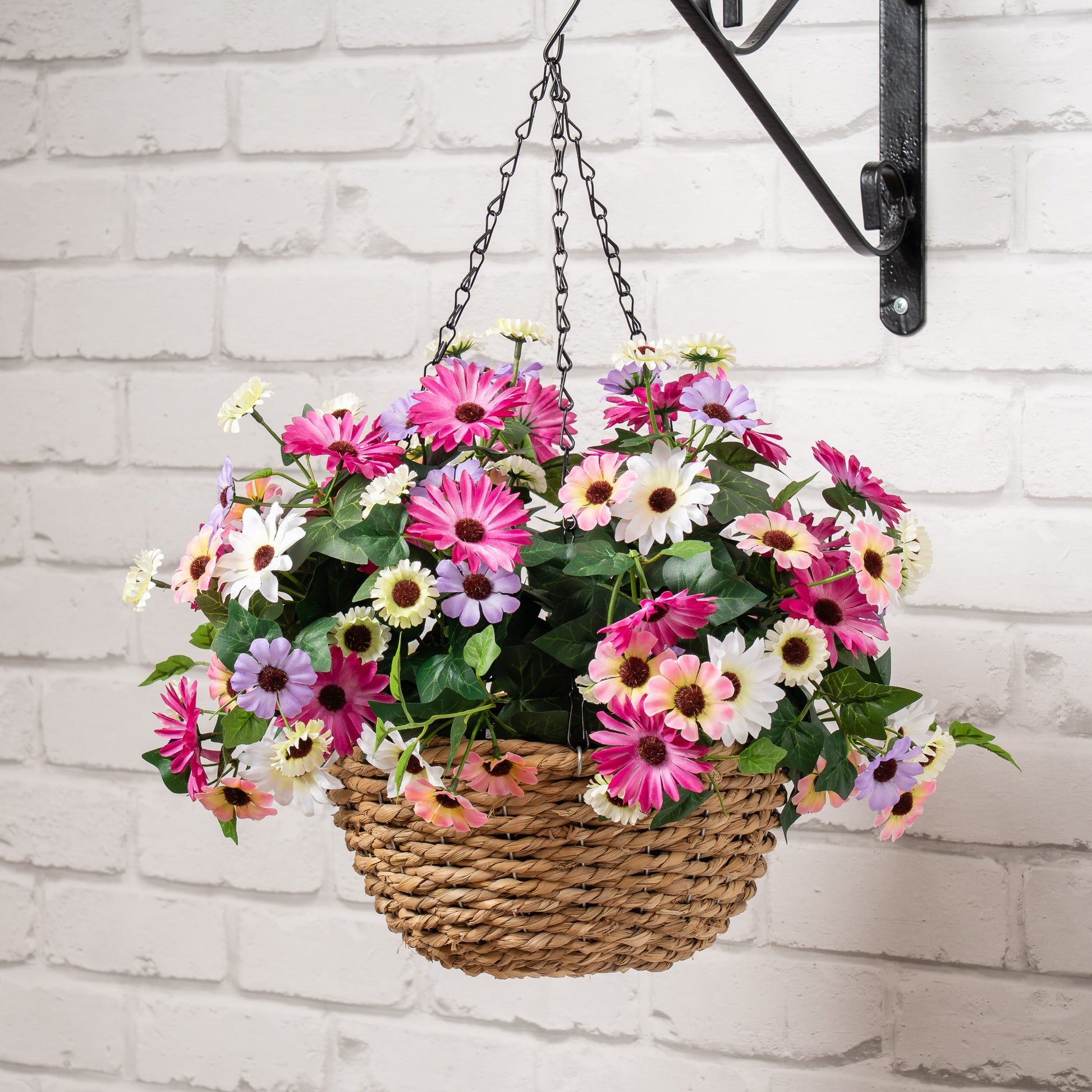 Scottish Everlastings Artificial 56cm Mixed Daisy Hanging Basket - main product image