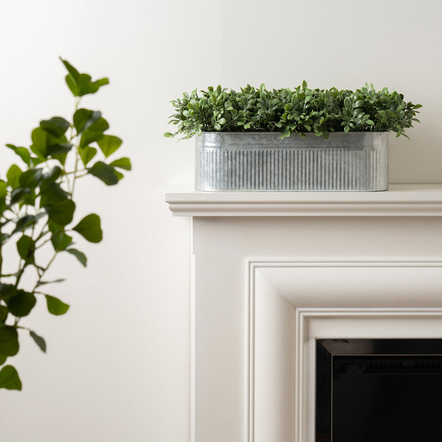 Scottish Everlastings 51x23cm Artificial  Boxwood Trough - main product image