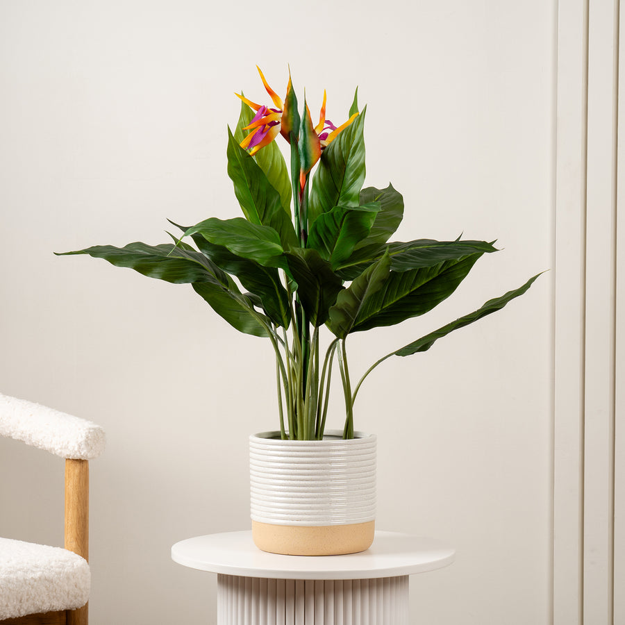 Scottish Everlastings 83cm Artificial Bird of Paradise Tree with Flower - main product image