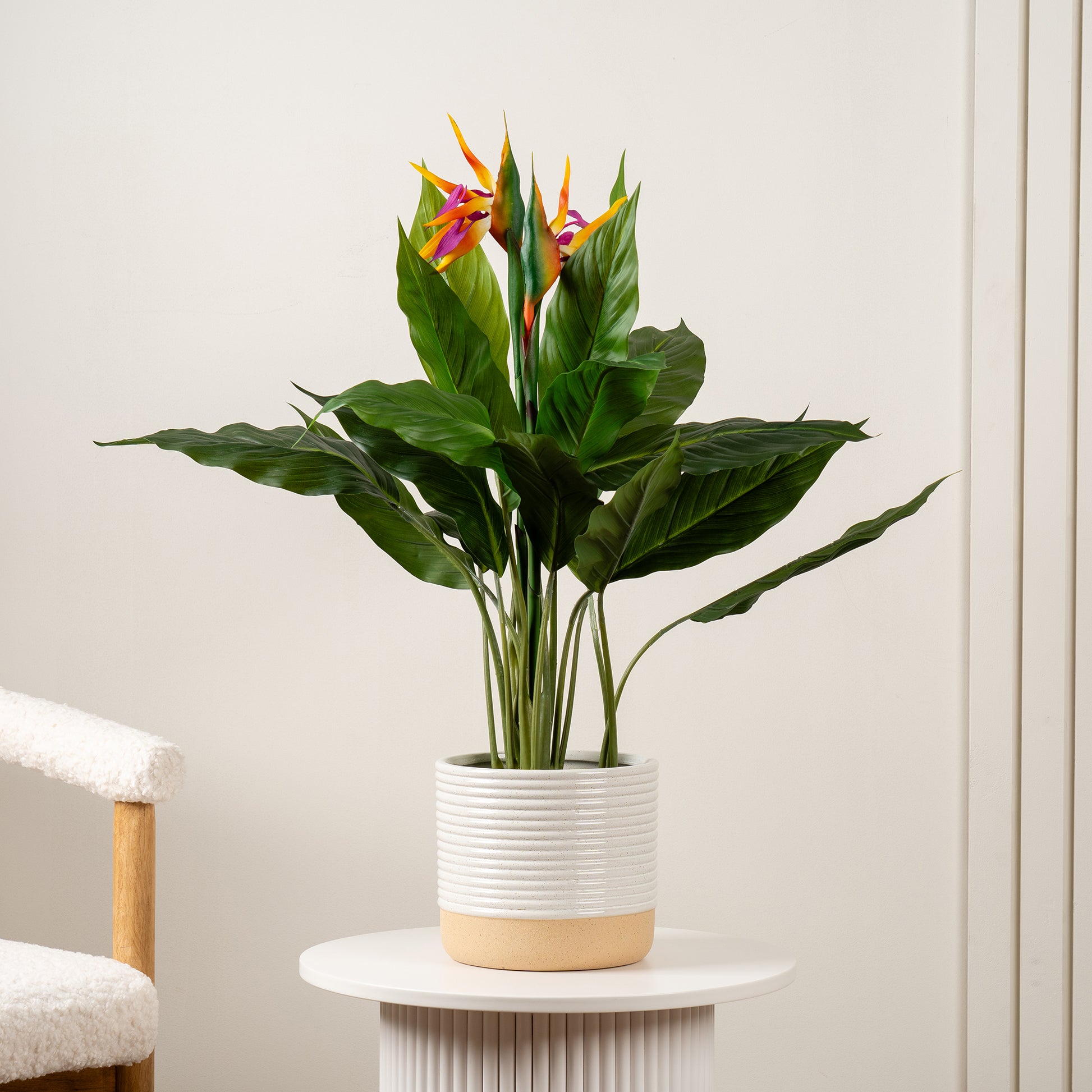 Scottish Everlastings 83cm Artificial Bird of Paradise Tree with Flower - main product image