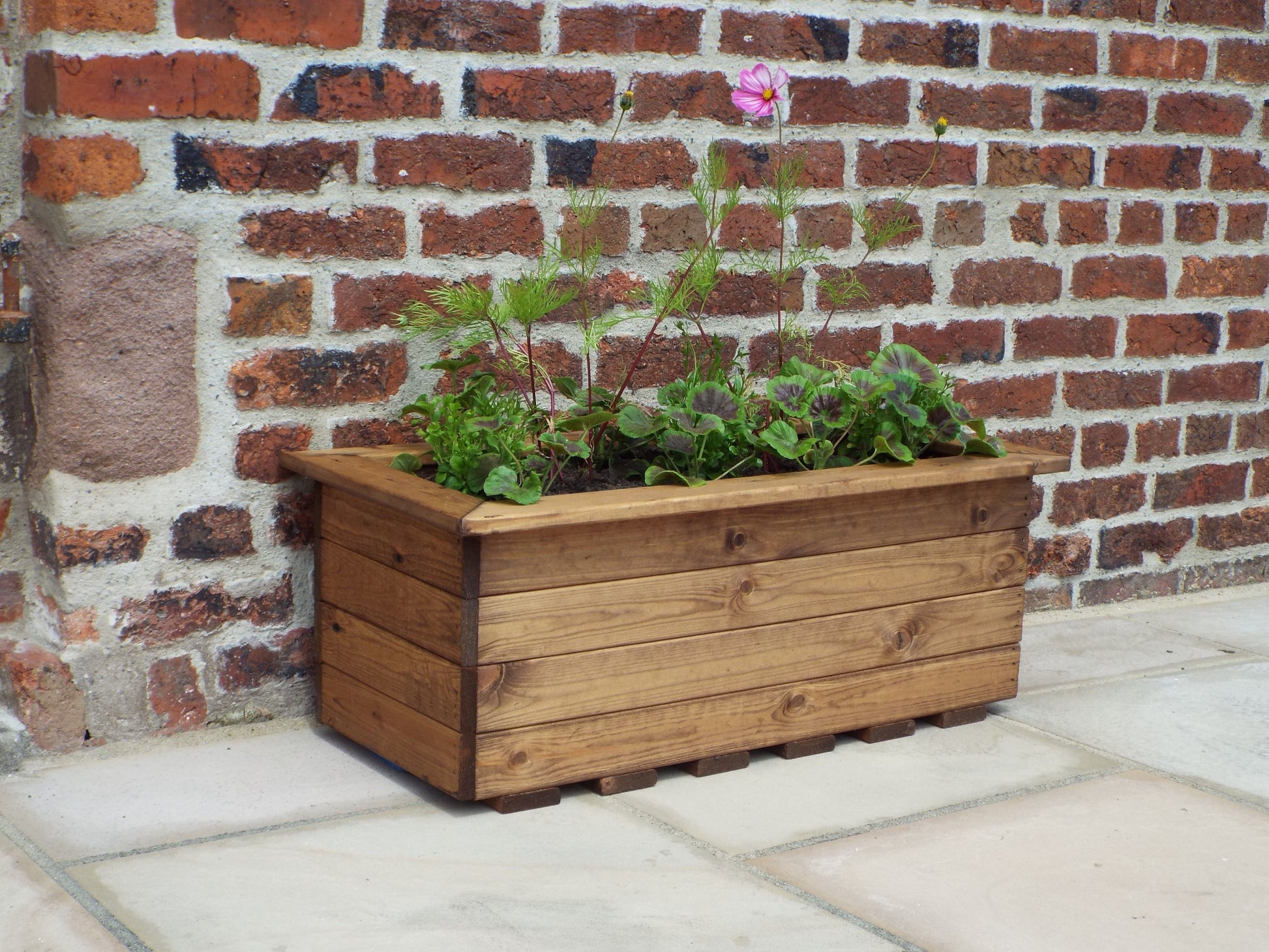 Charles Taylor Large Wooden Trough - main product image