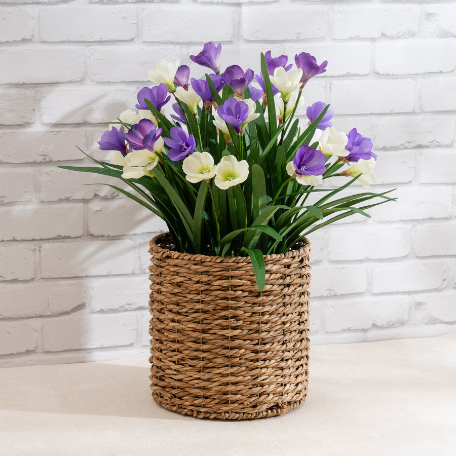 Scottish Everlastings Artificial 58cm Crocus in Seagrass Basket - main product image