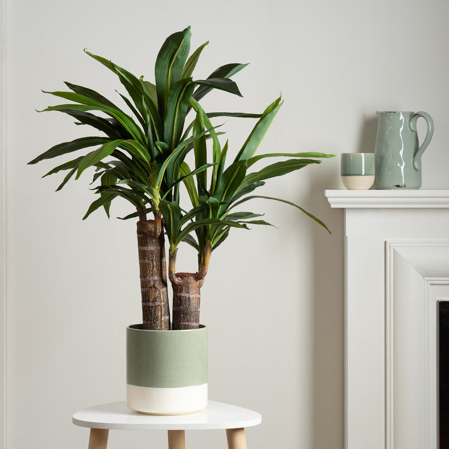 Scottish Everlastings 80cm Artificial Double Stem Yucca Tree - main product image