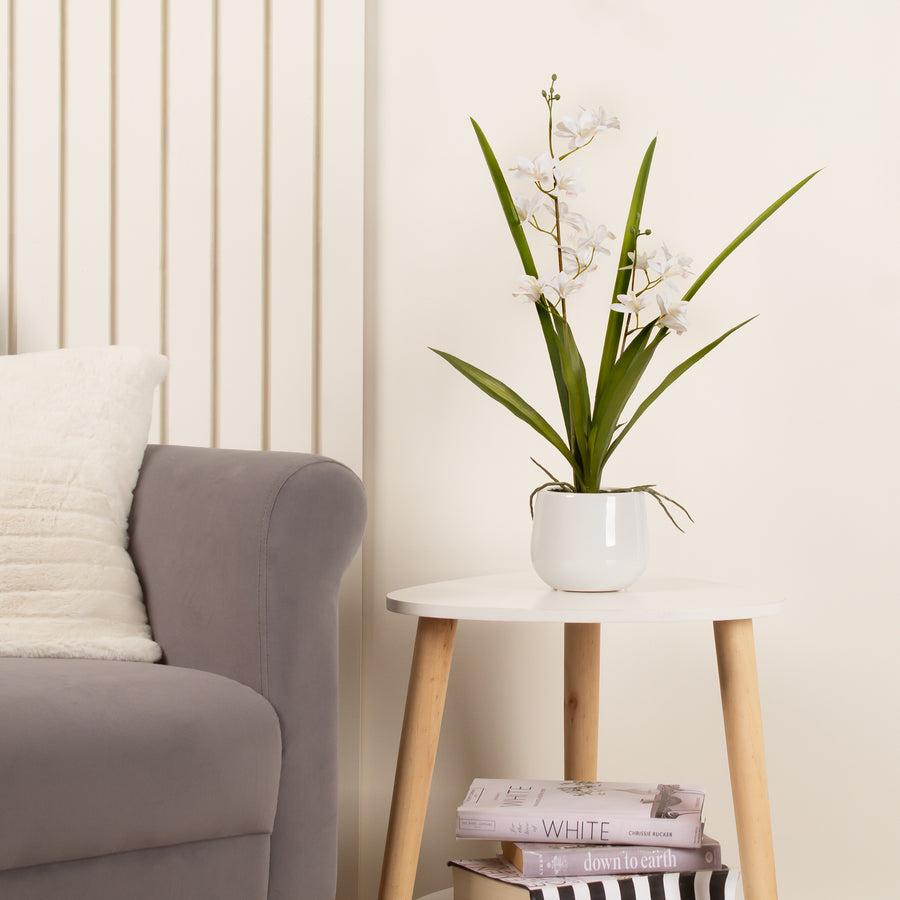 Scottish Everlastings Artificial 51cm Real Touch 2-Stem White Mini Cymbidium Orchid In Pot - main product image
