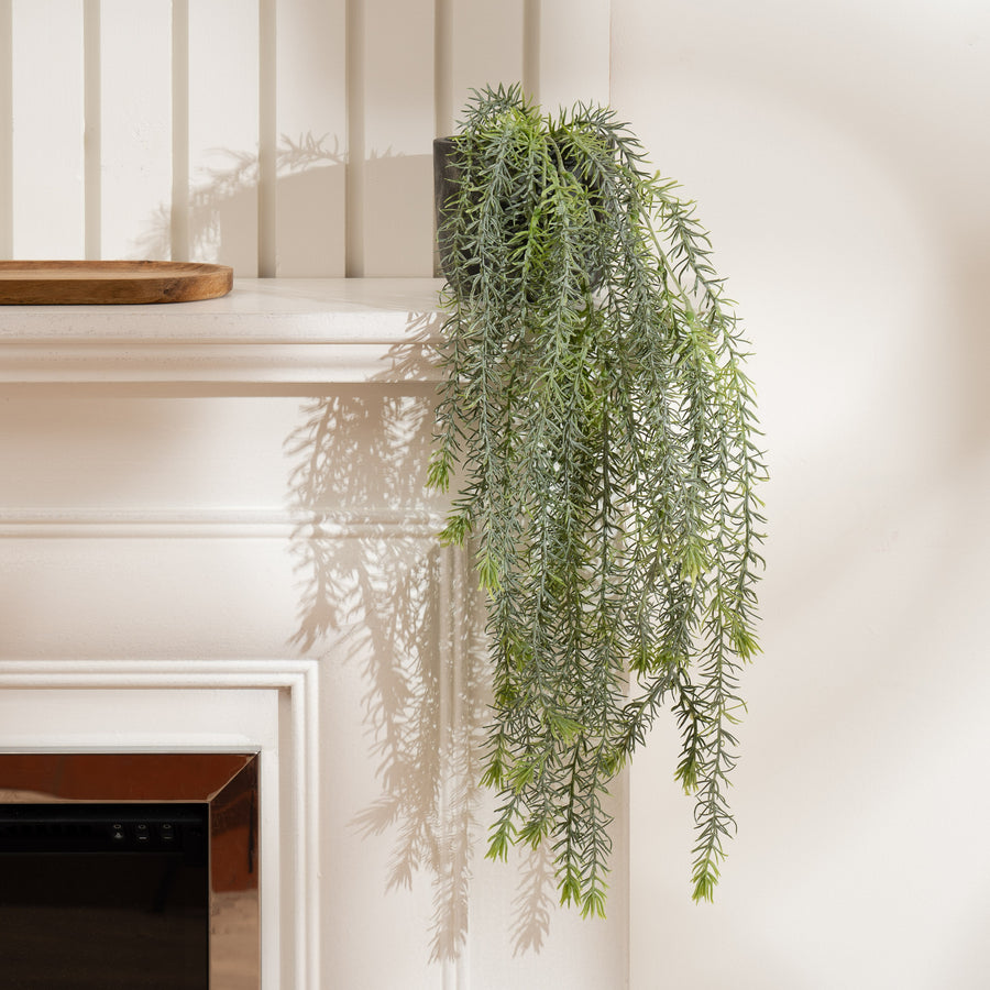 Scottish Everlastings 43cm Artificial Trailing Plant in Rustic Cement Pot - main product image