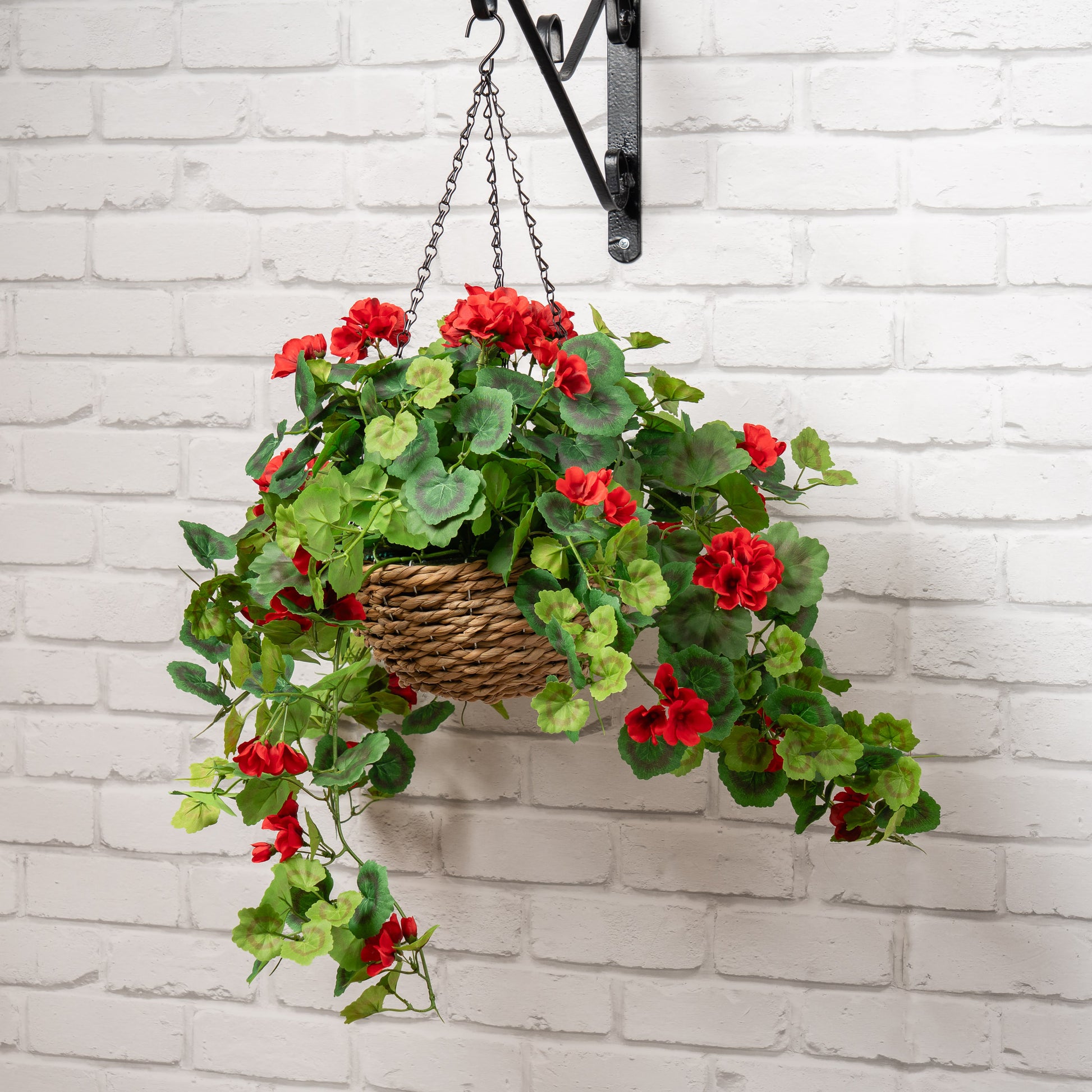 Scottish Everlastings Artificial 80cm Red Geranium Hanging Basket - main product image